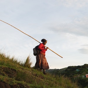 Socioeconomic impacts