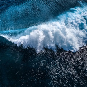 Find sustainable seafood